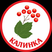 Картинка группа калинка