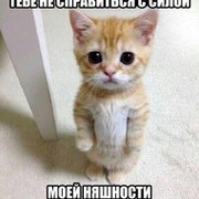 K.C.G#|CattyStyle=^^=Korean Catty Group| группа в Моем Мире.