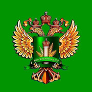 Ирина Кудряшова on My World.