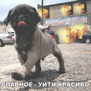 Александр Пак on My World.