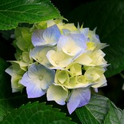Ботагоз Сыздыкова on My World.