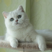 ЕЛЕНА ТВЕРДОХЛЕБ on My World.