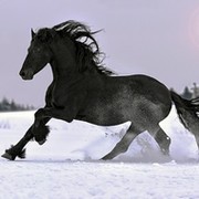 Шалтай Шалтанов on My World.