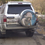 Егор Столбов on My World.