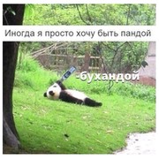 Дмитрий Петров on My World.