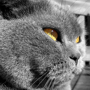 Григорий Лизун on My World.