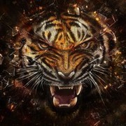 Антон кушнир on My World.