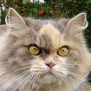 Виктор Курганский on My World.