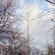 Рубен Шаров on My World.