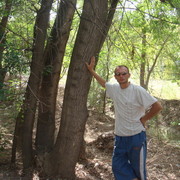 Дмитрий Елфимов on My World.
