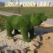 Михаил Чуйко on My World.