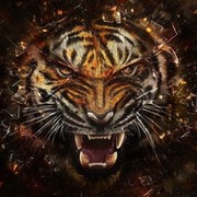 ★Супер Кот★   ZV on My World.
