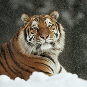Луна * on My World.