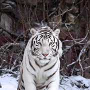 Олег Бутусов on My World.