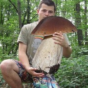 Водила рулит Грибники и кланы on My World.