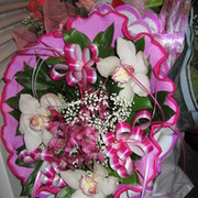 Перикова Елена on My World.