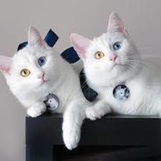 Анастасия Малкова on My World.