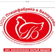 Птицефабрика петрозаводск карта