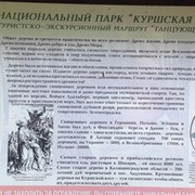 Виктор Сильченко on My World.
