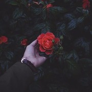 Гульжан Медетова on My World.