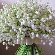 Галина Соколова on My World.