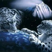 станислав мартынов on My World.