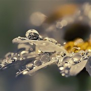 Татьяна Колобаева on My World.