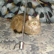 Петра Листикова on My World.