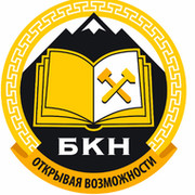 Бкн проект инн