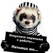 Сергей Мигунов on My World.